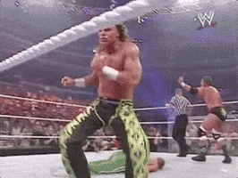 Shawn Michaels Wrestling GIF by WWE