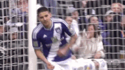 GIF by Sporza