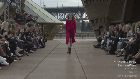 mbfwa 2017 dion lee GIF by Mercedes-Benz Fashion Week Australia