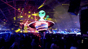 music festival GIF by Insomniac Events