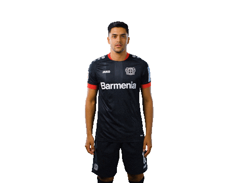 Bayer 04 Werkself Sticker by Bayer 04 Leverkusen