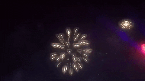 daswewda giphyupload GIF