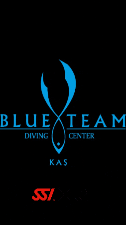 Blueteamdiving giphygifmaker giphyattribution blueteamdiving blueteamdivingcenter GIF