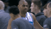 charlotte hornets hug GIF by NBA