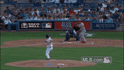 stl GIF by MLB