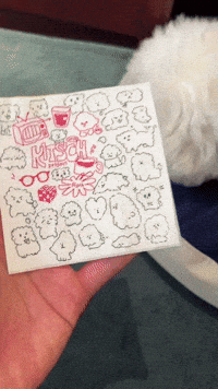 Bichon GIF