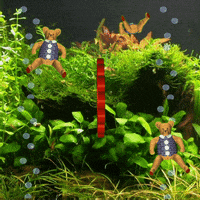 Rejected Under Water GIF