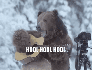 cryptocurrency hold GIF