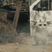 chilean-banditoss happy run jump top GIF