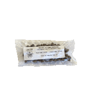 Stay Cool Latte Sticker by Sub-Zero Coffee