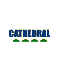 Cathedral High School Sticker by cathedralirish