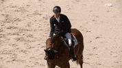 Celebrate Well Done GIF by FEI Global