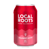 Drink Alcohol Sticker by Local Roots Kombucha