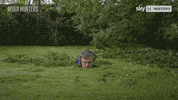 History Channel Swamp GIF by Sky HISTORY UK