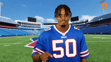 Buffalo Bills GIF by Northtown Auto