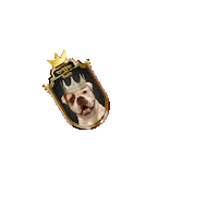 Biggie Smalls Sticker by Pimp Yo Pets