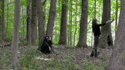 Music Video Fall GIF by aldn