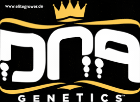 Tornado Seeds GIF by EliteGrower