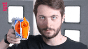 radio bremen wolf GIF by funk