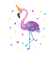 Excited Happy Birthday Sticker by Color Snack Creative Studio
