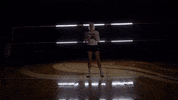 MSUMDragons dragons msum msum dragons msumoorhead GIF