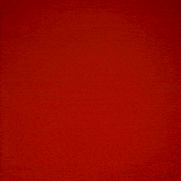 Charles Esters Iii GIF by Texas Tech Football