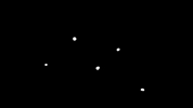 black and white animation GIF by Philippe Roy