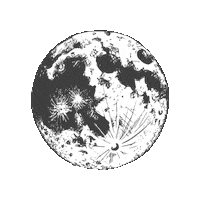 faunakids moon full moon fauna faunaie Sticker