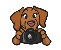 Dog Foto Sticker