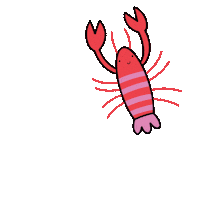 Valentines Lobster Sticker