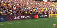 Pedrinfla777 GIF