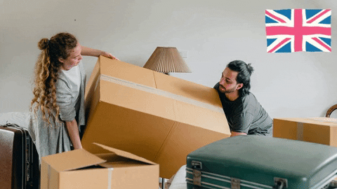 SFLWorldWide giphygifmaker giphyattribution shipping to uk GIF