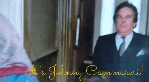 jleiter59 moonstruck its johnny cammareri GIF