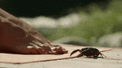 GIF by Gunpowder & Sky