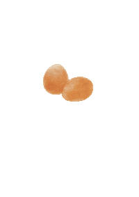 lisachiuqq food illustration egg cooker Sticker