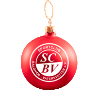 Christmas Sticker by SCBV