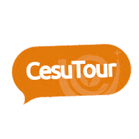 Quarentena Viagens Sticker by Sette