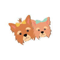 Divas Yorkie Sticker