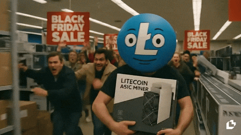 Black Friday Lol GIF by LitVM