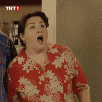 Surprise Reaction GIF by TRT