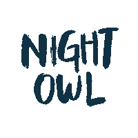 Night Owl Star Sticker