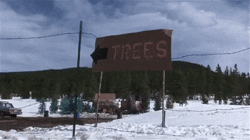christmas vacation GIF