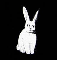 Itzbugeyezz scary bunny spookey scary bunny GIF