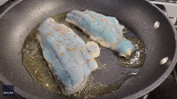 Fisherman Cooks Blue-Fleshed Fish