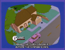season 6 new coverage of simpson house GIF
