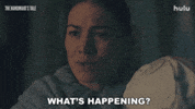 Whats Happening What GIF by HULU