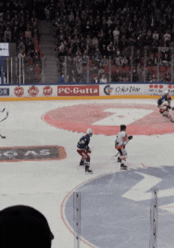 VIFHockey giphyupload fan 12 supporter GIF