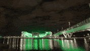 Big 12 Football GIF by Baylor University