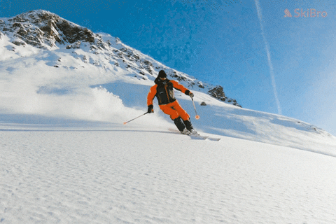SkiBro giphyupload skiing skibro GIF