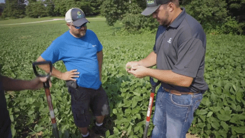 channelseed giphyupload agriculture farmer farming GIF